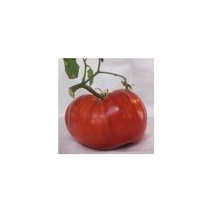  Beefsteak Tomato 40 Seeds Heirloom Patio, Lawn & Garden