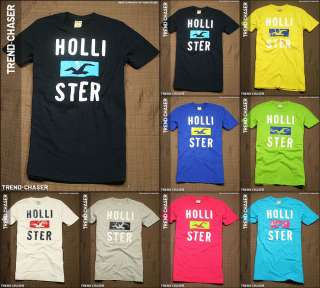 2012 Spring Hollister HCO Mens Muscle Fit Short Sleeve Tshirt Swamis 
