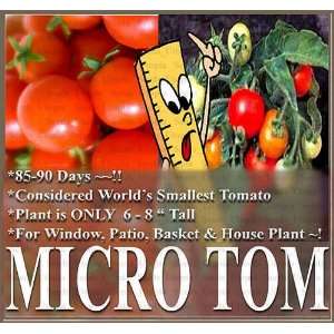   YOU OWN SMALLEST TOMATO PLANT IN THE WORLD ~ Patio, Lawn & Garden