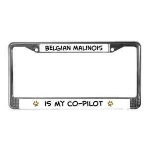  Co pilot: Belgian Malinois Pets License Plate Frame by 