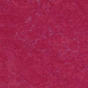   Marmoleum Click Together Linoleum Planks Raspberry