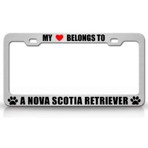  TO A NOVA SCOTIA RETRIEVER Dog Pet Steel Metal Auto License Plate 