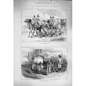  1877 Imperial Durbar Delhi Viceregal Howdah Elephants 