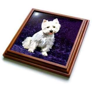 3dRose LLC Dogs West Highland Terrier   Westie   Trivets at 