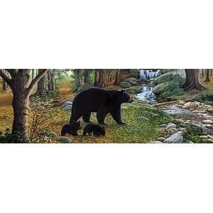  Early Morning Bear Window Mural,Decal,Tint: Automotive