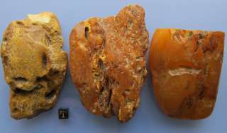 Rough Baltic fossil amber 3 stones .The quality of this amber stones 