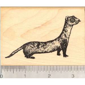  Black Footed Ferret Rubber Stamp: Arts, Crafts & Sewing