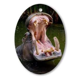 Hippo   Open Wide   Dentist Oval Ornament by CafePress 