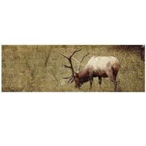  Solitary Elk Wood Panel Wall Art: Home & Kitchen