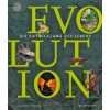 Evolution rückwärts Auf den Spuren des Dinosauriers im Huhn  