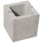   & Masonry   Concrete Blocks, Bricks & Lintels   at The Home Depot