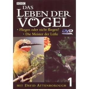 Das Leben der Vögel   Teil 1: .de: Filme & TV