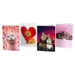  Avanti Valentine Assortment, Youre the Cats Meow, 8 Pack 