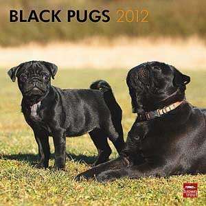  2012 Black Pugs Calendar