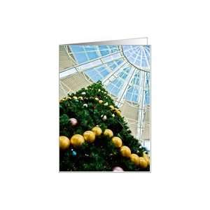 Blue Skylight Windows Christmas Tree Blank Greeting Card Card