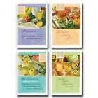 Hope and Healing Get Well Cards Box of 12  3 Each of 4 Designs NIV 