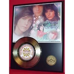 David Cassidy 24kt Gold Record LTD Edition Display ***FREE PRIORITY 