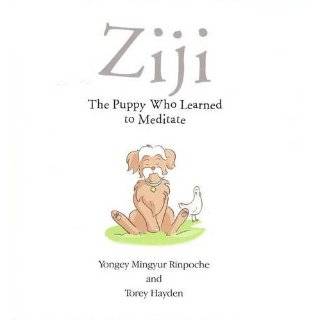 Ziji The Puppy Who Learned to Meditate by Rinpoche Yongey Mingyur 