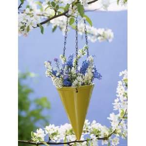  Spring Flowers in Hanging Vase on Flowering Cherry Tree 