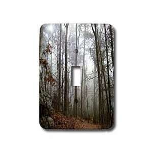   Fog   Light Switch Covers   single toggle switch: Home Improvement