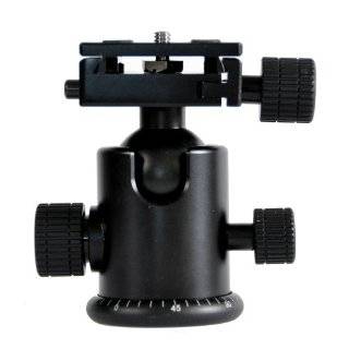   Head with Quick Release Adapter for Standard Tripods: Explore similar