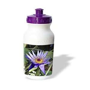 Edmond Hogge Jr Floral   Purple Water Lily   Water Bottles  