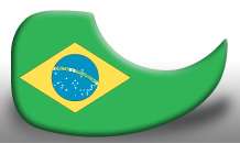 have one new BRAZIL flag PICK GUARD with a matching pick. Makes a 