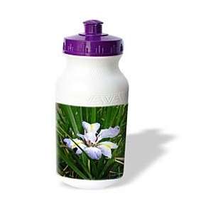  Flowers   Iris   Water Bottles