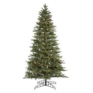   Waseca Frasier Fir Pre lit Clear Christmas Tree: Home & Kitchen
