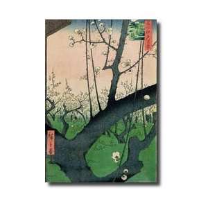    Branch Of A Flowering Plum Tree Giclee Print